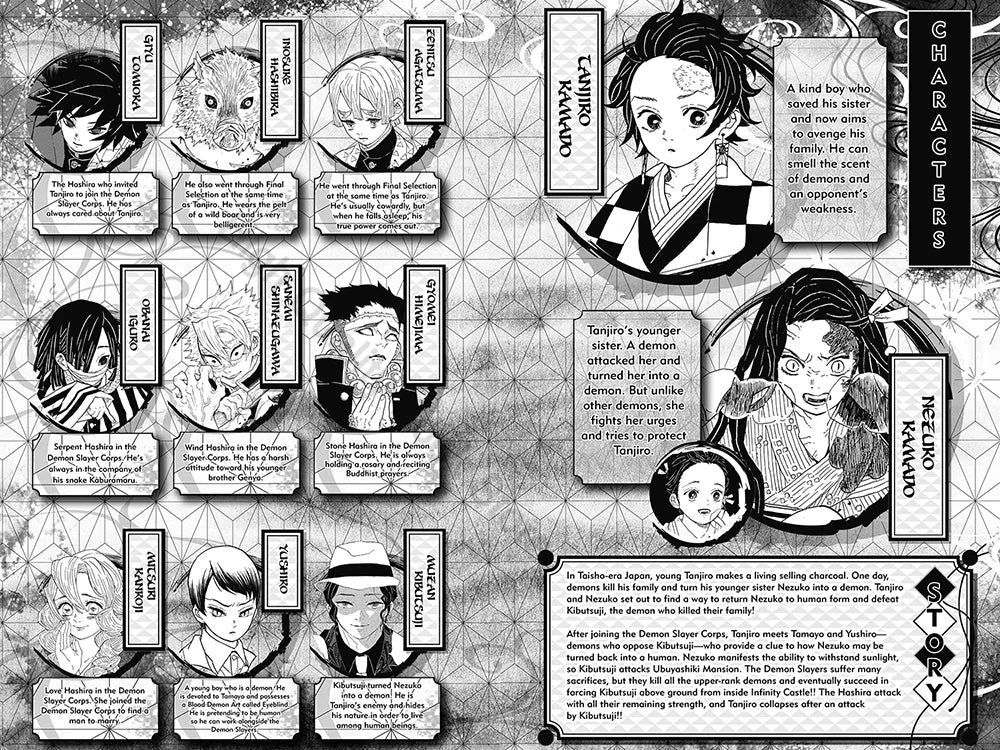 23 Volume Anime Demon Slayer Kimetsu No Vol 23 Yaiba Japan Fantasy Science Mystery Suspense English Version Manga Comic Book