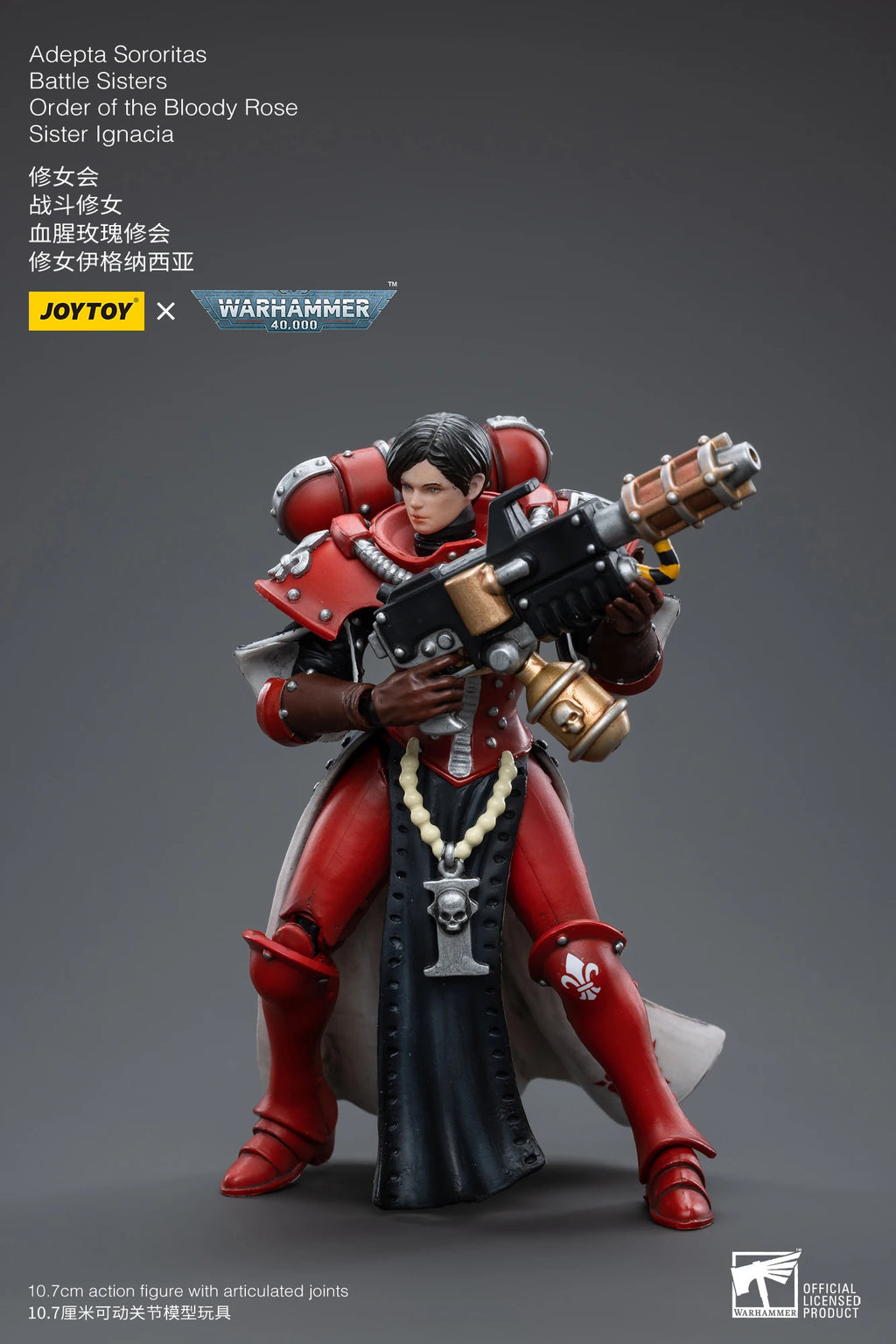JOYTOY 1/18 Action Figure 40K The Horus Heresy Battle Sister Figures And Mechas Anime Military Model