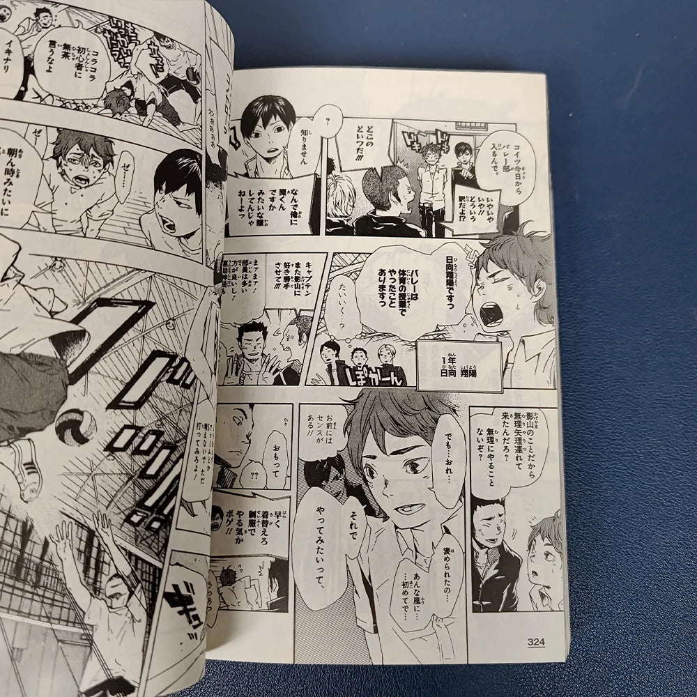 Japan Anime Haikyu Art Collection Cartoon Book Japanese Edition Comic Book Hinata Shoyo japanes
