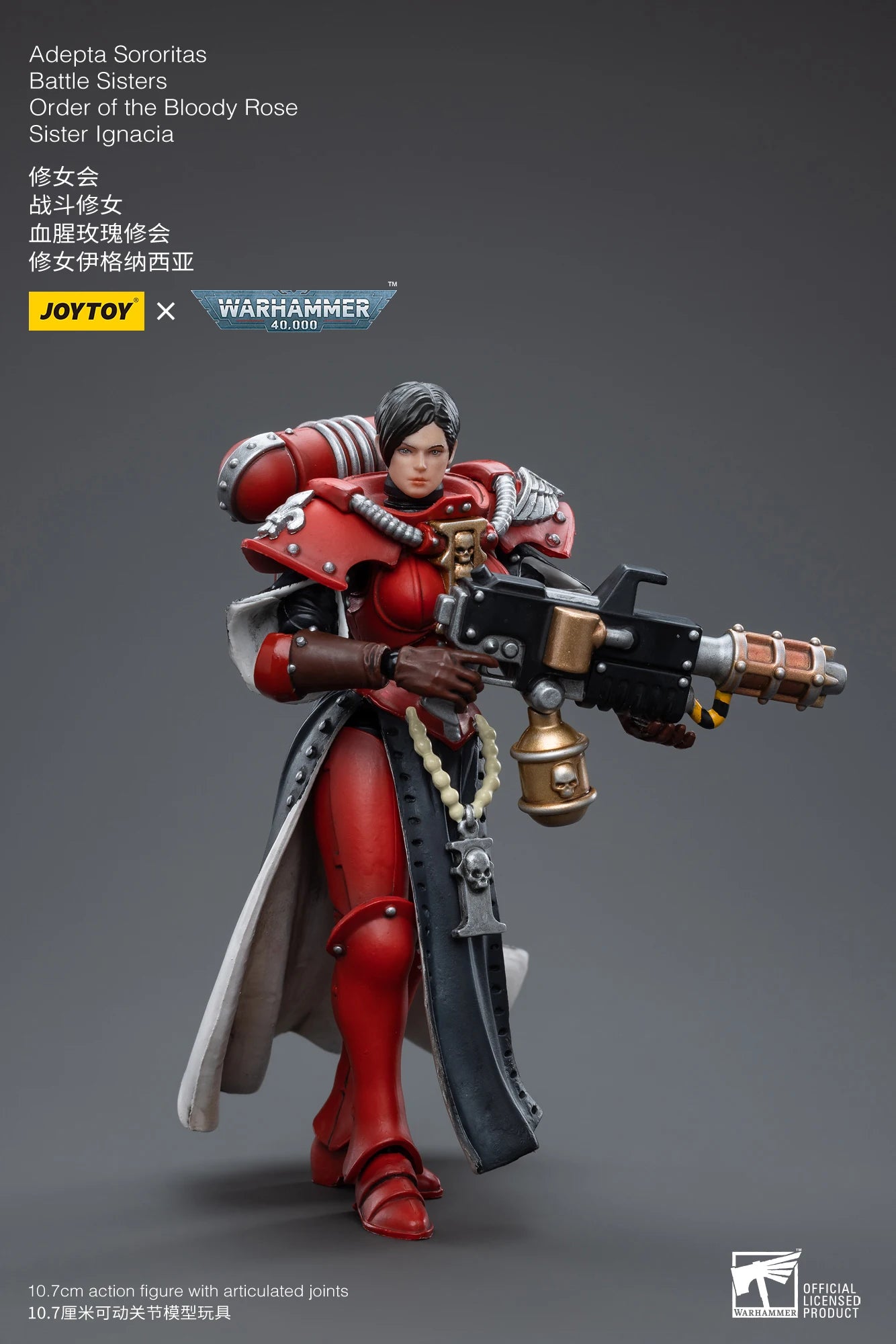 JOYTOY 1/18 Action Figure 40K The Horus Heresy Battle Sister Figures And Mechas Anime Military Model
