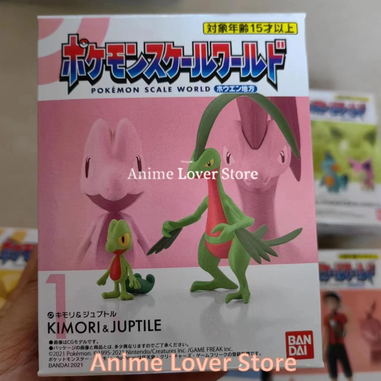 Bandai Original Scale World POKEMON Hoenn Region May Brendan Treecko Torchic Mudkip Blaziken Anime Figures Toys